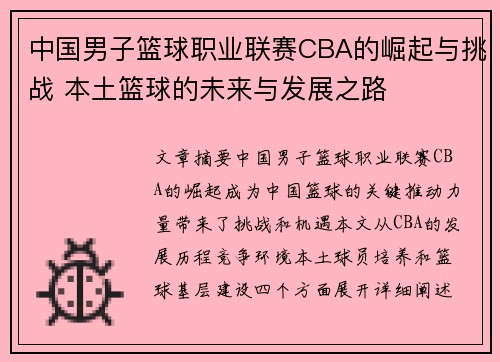 中国男子篮球职业联赛CBA的崛起与挑战 本土篮球的未来与发展之路